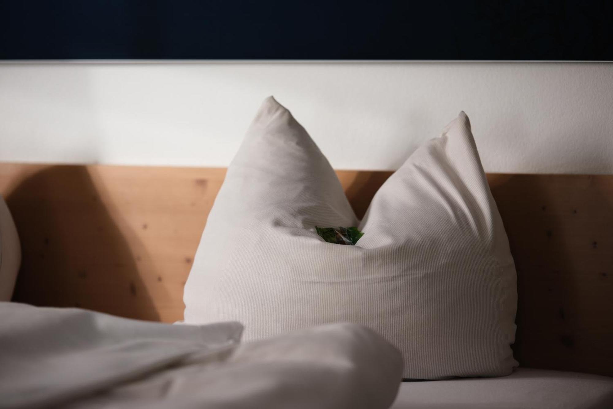 "Beim Butz" Hotel Worth an der Donau Eksteriør billede